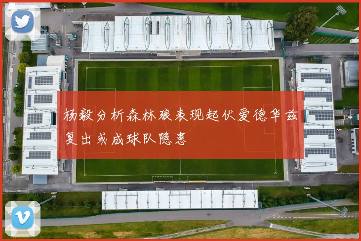 杨毅分析森林狼表现起伏爱德华兹复出或成球队隐患